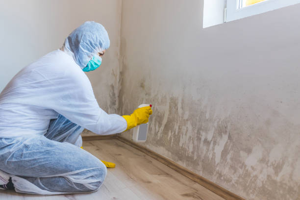 Hvac And Air Duct Mold Remediation inspection of HVAC system in Edgewood